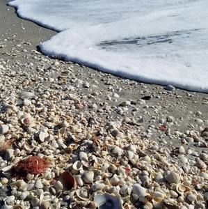 Meet your Posher, Deb